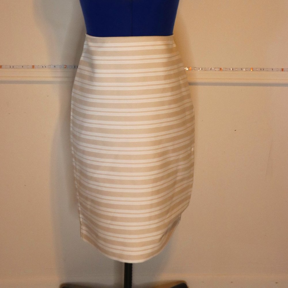 Ann Taylor pencil skirt